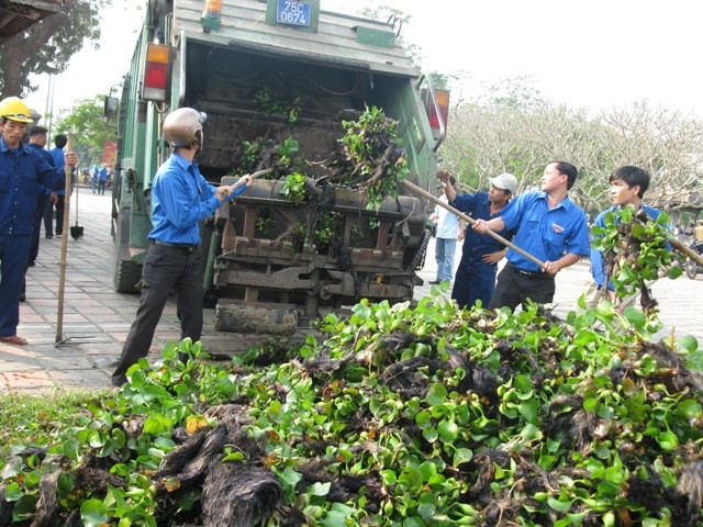 Bèo tây, rác thải sau khi vớt lên bờ được thu gom lên xe đưa đi xử lý.