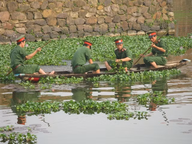 Lực lượng bộ đội.