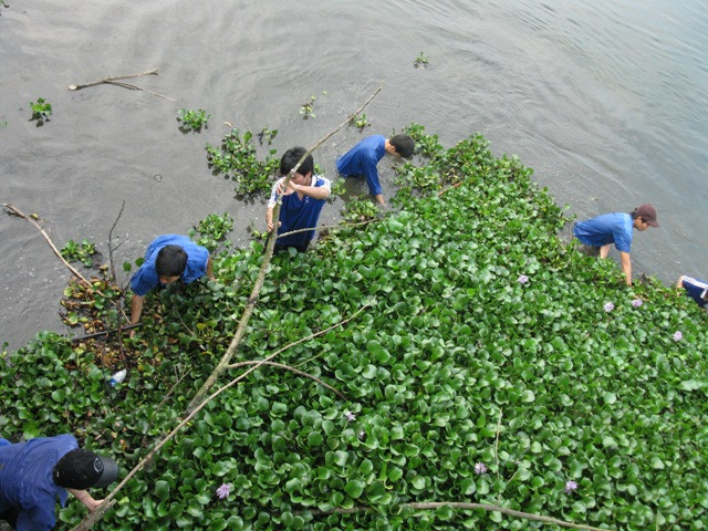 Sinh viên đại học Sư phạm Huế vớt bèo.