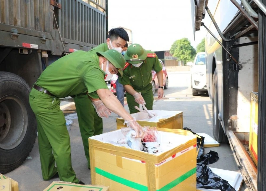 Nhiều năm qua, thực phẩm bẩn vẫn len lỏi, đầu độc sức khỏe người dân. Ảnh: Phòng Cảnh sát môi trường Công an Hà Tĩnh phối hợp bắt giữ 1 vụ vận chuyển thực phẩm bẩn.