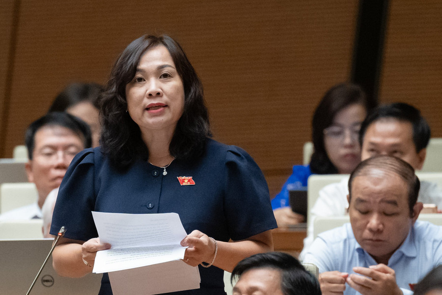 Đại biểu Nguyễn Thị Thu Thủy - Đoàn ĐBQH tỉnh Bình Định. Đại biểu Nguyễn Thị Thu Thủy - Đoàn ĐBQH tỉnh Bình Định.