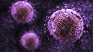 Virus HIV