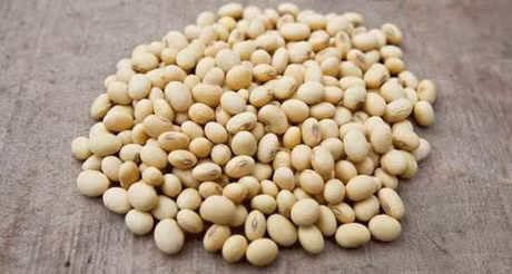 Cho con an ngay nhung mon nay boi day la thang tre cao nhanh nhat trong nam - Anh 4