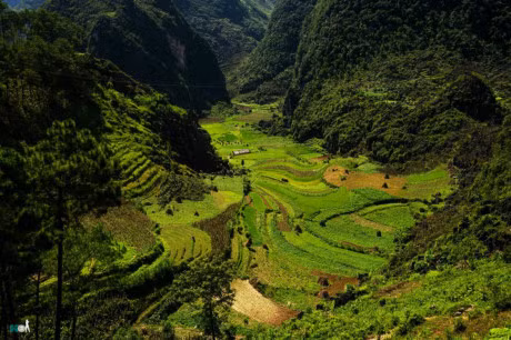 Choang ngop truoc ve dep ky vi cua manh dat dia dau Ha Giang - Anh 13