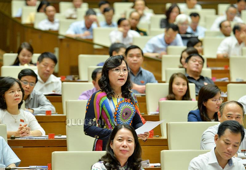 Đại biểu Quốc hội chất vấn Bộ trưởng Bộ Tài nguyên và Môi trường