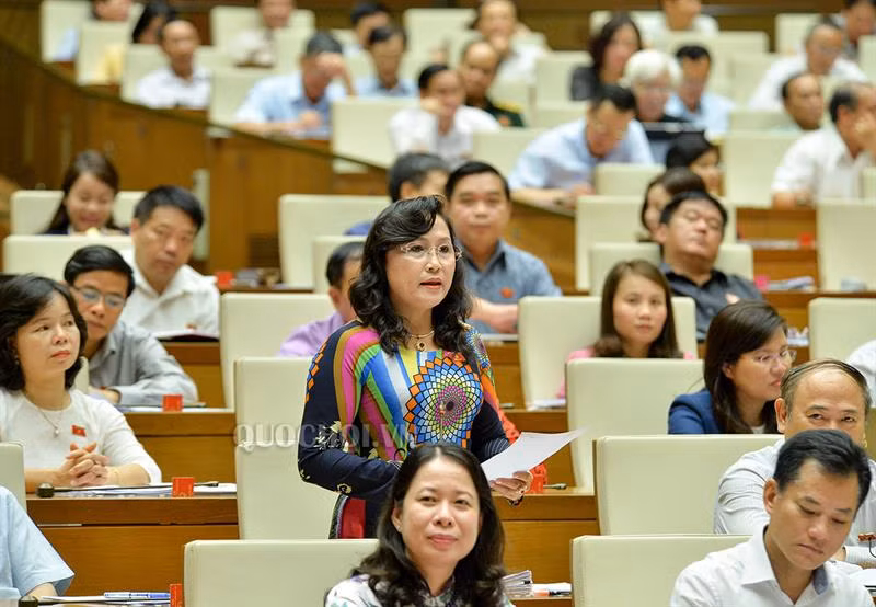 Đại biểu Quốc hội chất vấn Bộ trưởng Bộ Tài nguyên và Môi trường