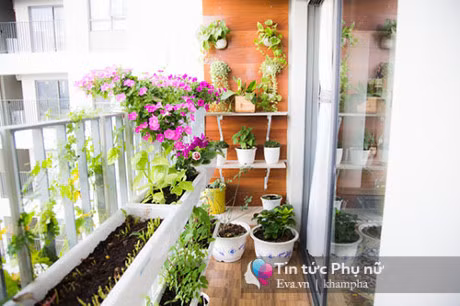 Can ho 59,9m2 van co khong gian dep nhu vuon 