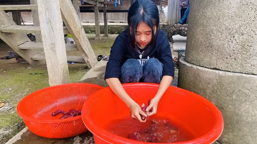 Em Vừ Thị Sanh rửa vội những củ khoai lang để chuẩn bị bữa trưa cho cả nhà (ảnh: Thành Tâm).