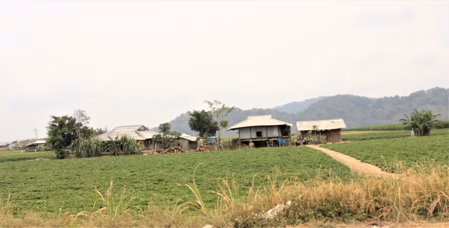 Một xóm người Mông ở buôn Plao Siêng nằm lọt thỏm giữa cánh đồng (ảnh: Thành Tâm).