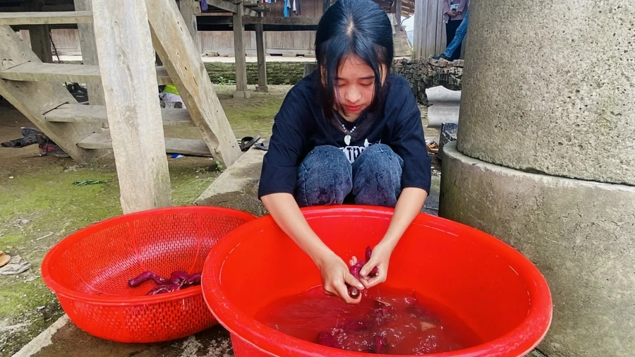 Em Vừ Thị Sanh rửa vội những củ khoai lang để chuẩn bị bữa trưa cho cả nhà (ảnh: Thành Tâm).