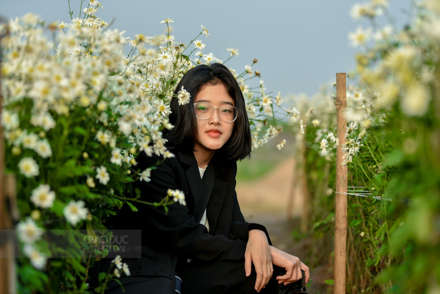 Nhiều bạn trẻ đã tranh thủ những ngày cuối tuần để tìm đến những vườn cúc hoạ mi cuối cùng để chụp và mua những bó cúc hoạ mi về.