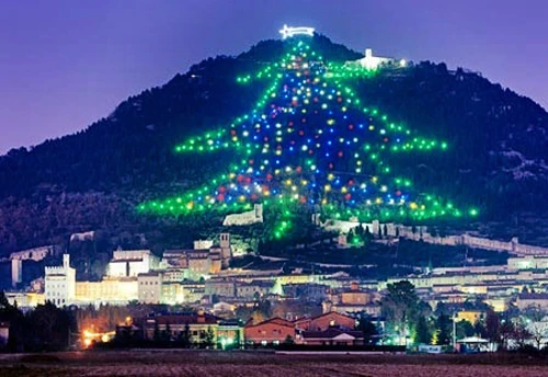 Italy thắp sáng cây thông Noel lớn nhất thế giới