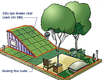 Mái nhà xanh - giải pháp kiến trúc chống biến đổi khí hậu