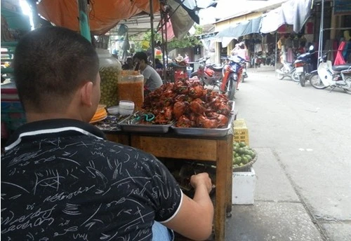 Chim quay Ninh Hiệp có màu gạch non nhờ... bột sắt