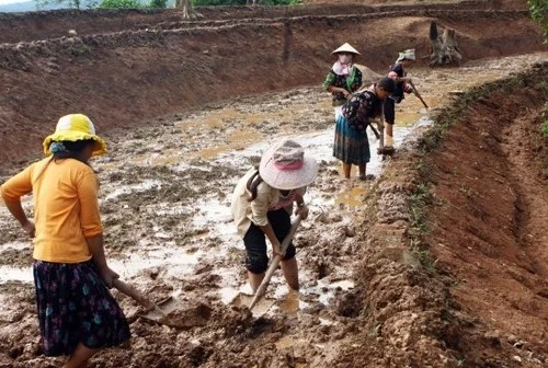 Chân dung nông dân Việt thời hội nhập với 5 cái nhất