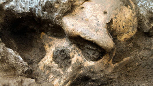 Hộp sọ 5 - (Ảnh: GEORGIAN NATIONAL MUSEUM)