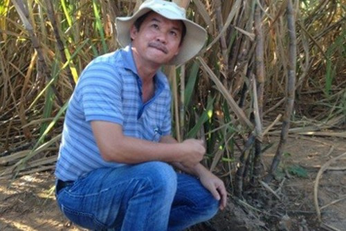 Đại gia bất động sản lánh nạn bằng trồng mía, nuôi thủy sản