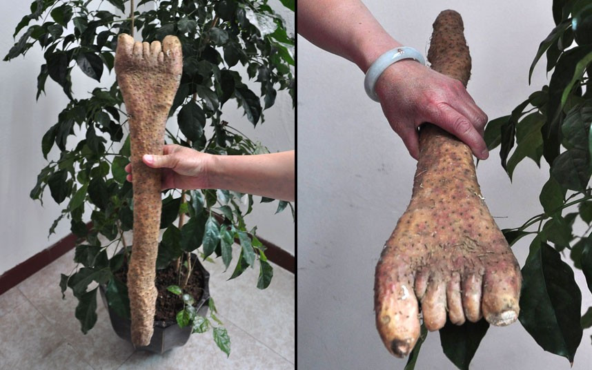 Những hình ảnh ấn tượng trong tuần