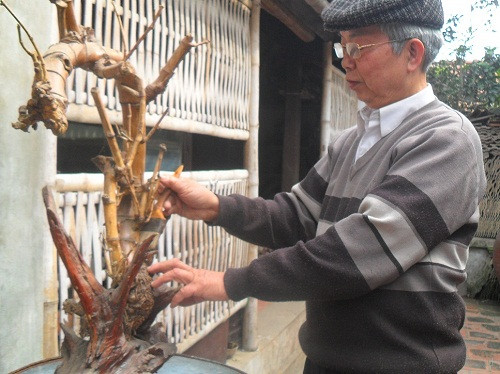 Nghệ nhân Nguyễn Như Tường đang chăm chút cho tác phẩm 