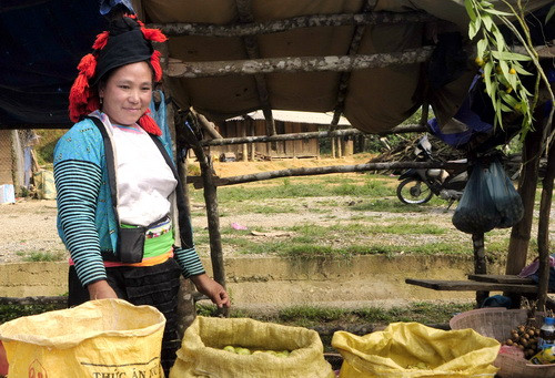 Cô gái Hmông với đặc sản quả sơn tra rừng