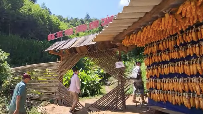 Du khách tham quan rừng trúc Púng Luông. Du khách tham quan rừng trúc Púng Luông.