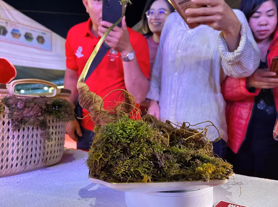 Củ sâm Ngọc Linh bán đấu giá 250 triệu đồng, số tiền chênh lệch được gây quỹ từ thiện.