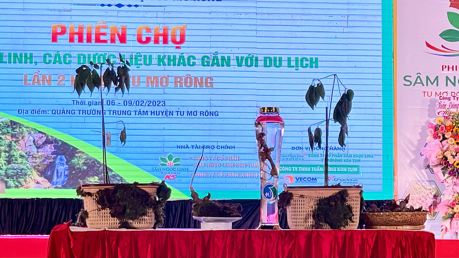 Các mẫu sâm Ngọc Linh được bán đấu giá tại phiên chợ. Các mẫu sâm Ngọc Linh được bán đấu giá tại phiên chợ.
