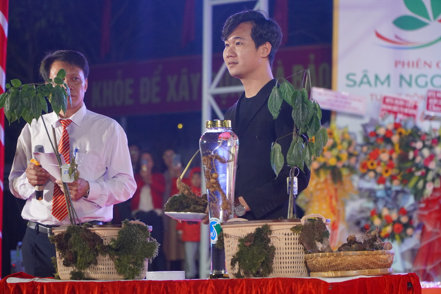 Du khách Nguỵ Hoàng Tây (tỉnh Quảng Nam) trúng đấu giá củ sâm Ngọc Linh nặng hơn 250 gram. Du khách Nguỵ Hoàng Tây (tỉnh Quảng Nam) trúng đấu giá củ sâm Ngọc Linh nặng hơn 250 gram.