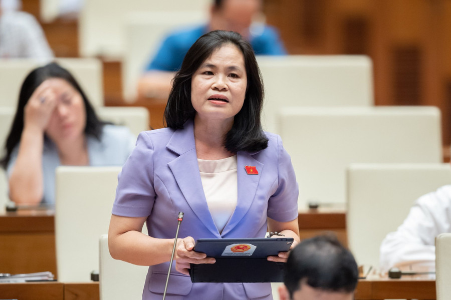 Đại biểu Nguyễn Thị Hồng Hạnh – đoàn ĐBQH TP Hồ Chí Minh. Đại biểu Nguyễn Thị Hồng Hạnh – đoàn ĐBQH TP Hồ Chí Minh.