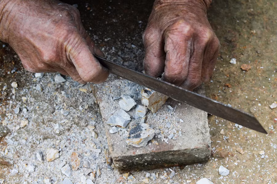 Để có được mẻ ngói ngon, sau khi đào lên, bà Biện phải cẩn thận tách những phần ăn được thành từng miếng.