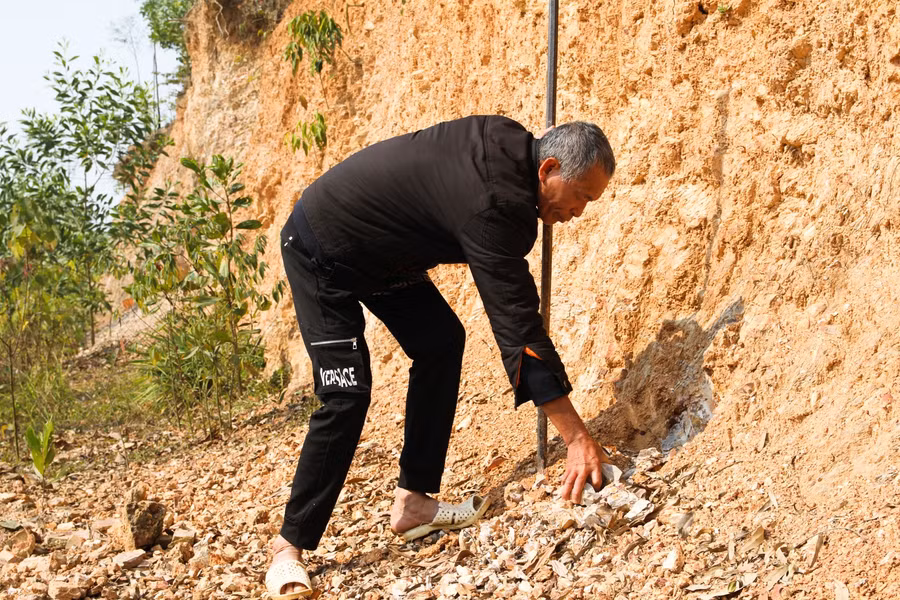 Bà Biện bảo muốn tìm được ngói ngon phải đào thật sâu xuống lòng đất. Trước đây, ở Lập Thạch có 3 lò ngói nhưng đều đã bị san lấp hết, chỉ còn lại duy nhất một lò nằm ngay phía sau ngôi nhà của gia đình bà Biện đang sinh sống.