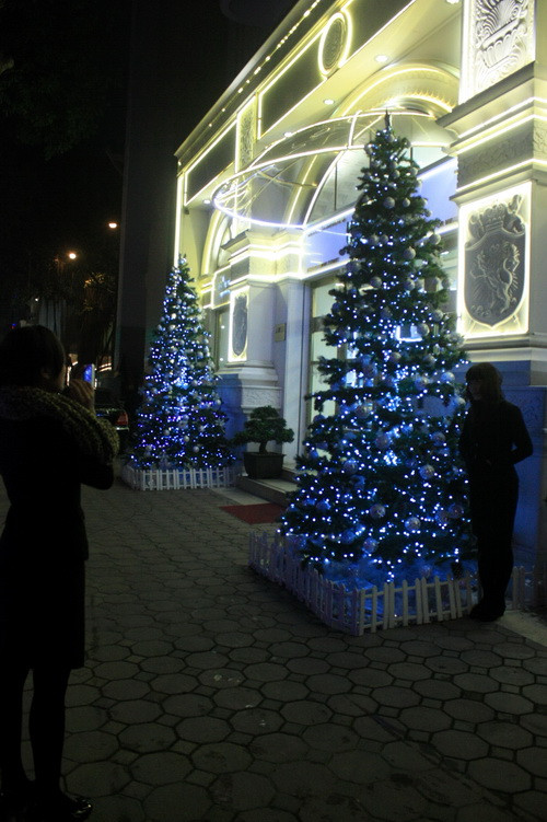 Cây thông noel trên phố Hai Bà Trưng. Ảnh, gdtd.vn