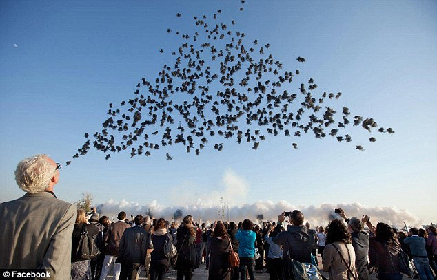 Xem bắn pháo hoa giữa ban ngày (video) ảnh 2