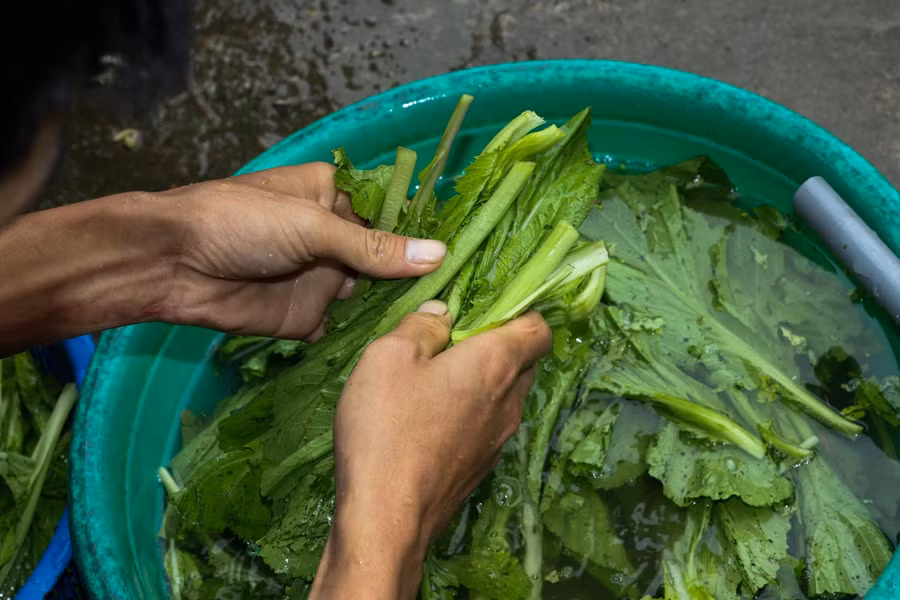 Những ngày cuối của cuộc đời, Quân vẫn luôn hướng về người mẹ đã bỏ mình ra đi nhiều năm trước mà không một lời oán than