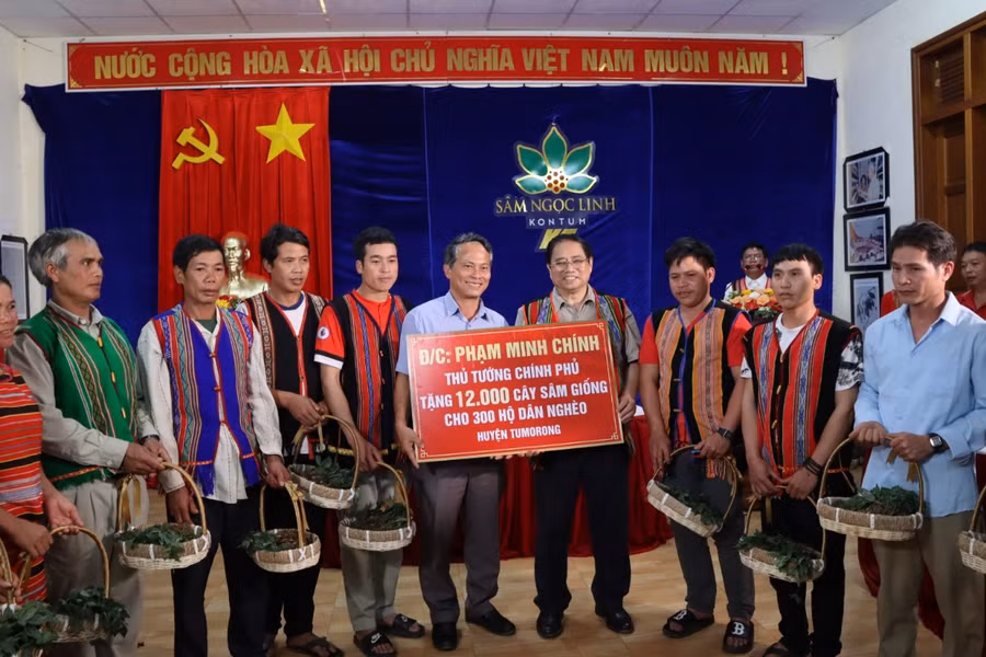 Thủ tướng Phạm Minh Chính tặng 12.000 cây sâm giống cho người nghèo.