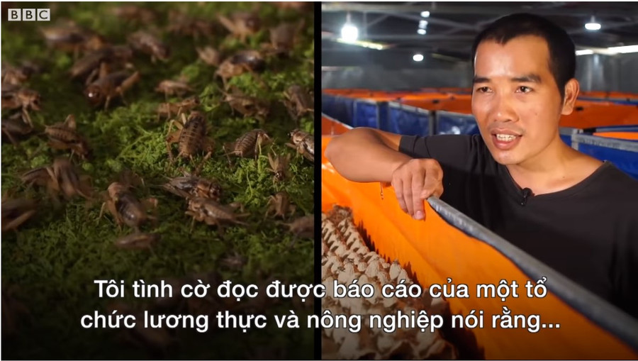 Anh Đặng Cao Nam – Đồng sáng lập Cricket One. Nguồn ảnh: YouTube Anh Đặng Cao Nam – Đồng sáng lập Cricket One. Nguồn ảnh: YouTube