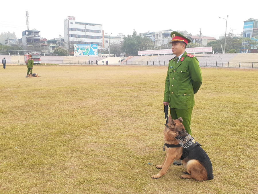 Đội chó nghiệp vụ thuộc tiểu đoàn CSCĐ, CA tỉnh Điện Biên được huy động thực hiện nhiệm vụ tại vòng 1 Đội chó nghiệp vụ thuộc tiểu đoàn CSCĐ, CA tỉnh Điện Biên được huy động thực hiện nhiệm vụ tại vòng 1