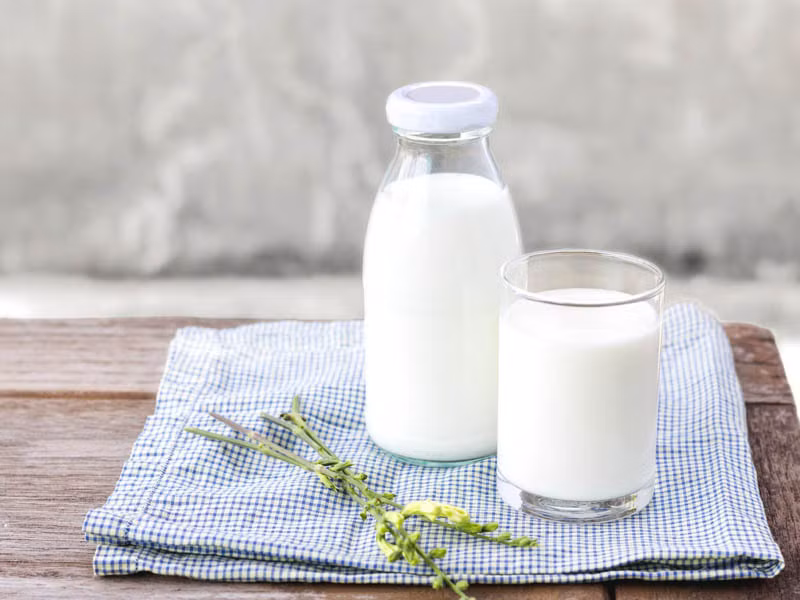 Bổ sung quá nhiều sữa có khả năng gây đầy hơi, khó tiêu
