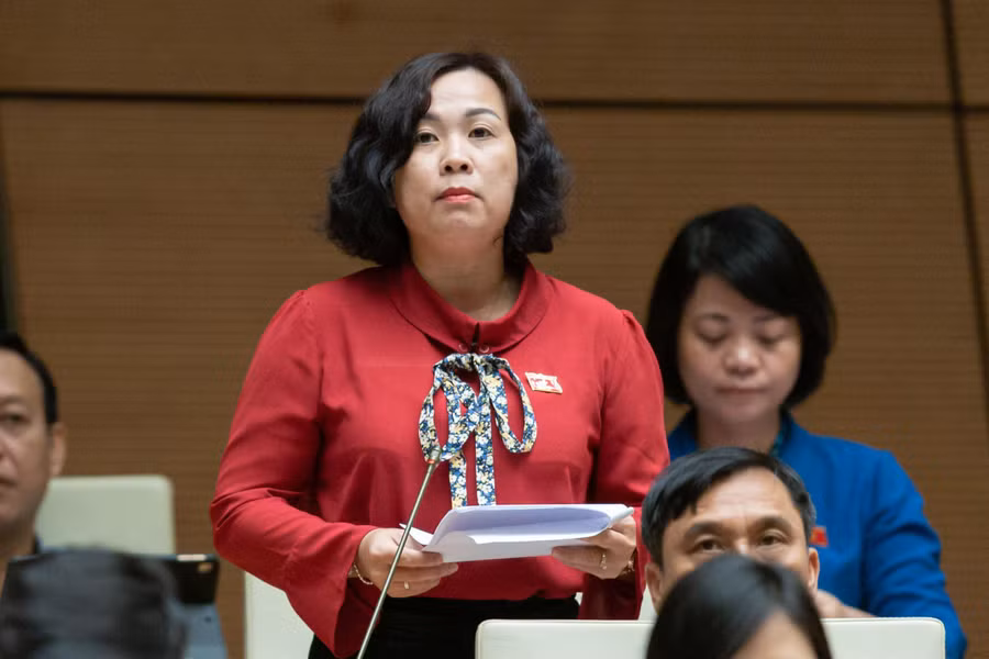 Đại biểu Nguyễn Thị Thu Thủy - Đoàn ĐBQH tỉnh Bình Định.