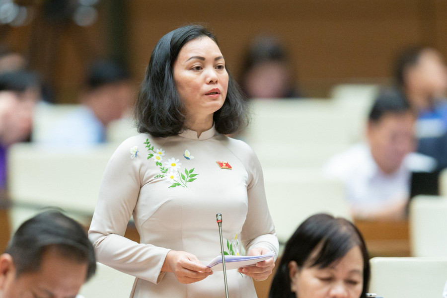 Đại biểu Huỳnh Thị Phúc Đại biểu Huỳnh Thị Phúc