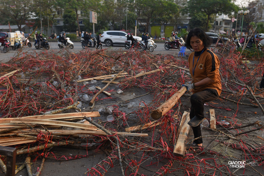 Chiều 30 Tết, nhiều gian hàng bán đào rừng đã trở thành vô chủ, toàn bộ đào bị vứt bỏ lại.