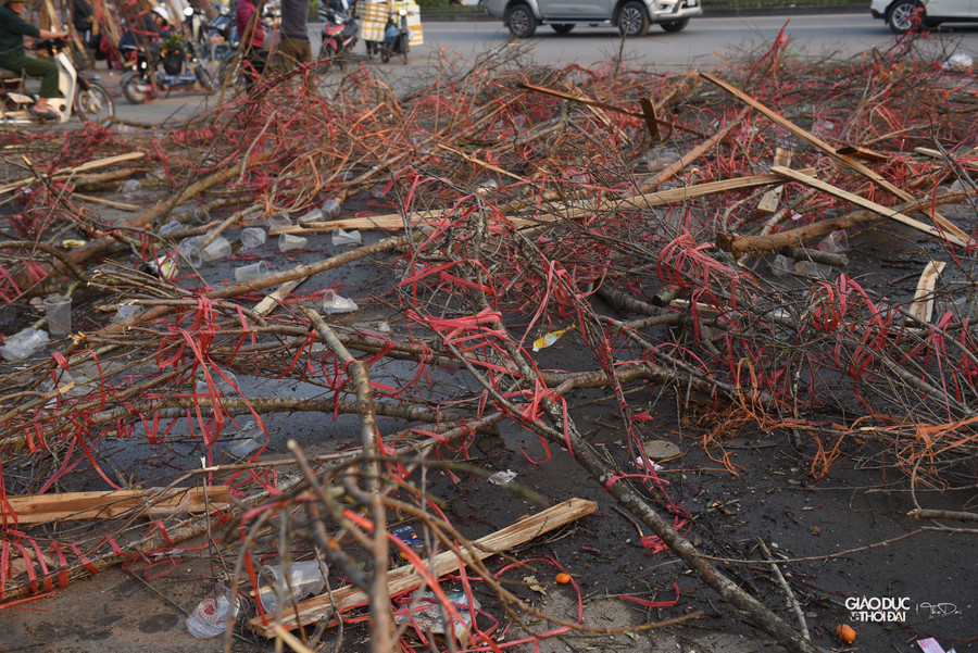 Những cành đào rừng bị vứt ngổn ngang trên mặt đất tại khu vực đường Tố Hữu.