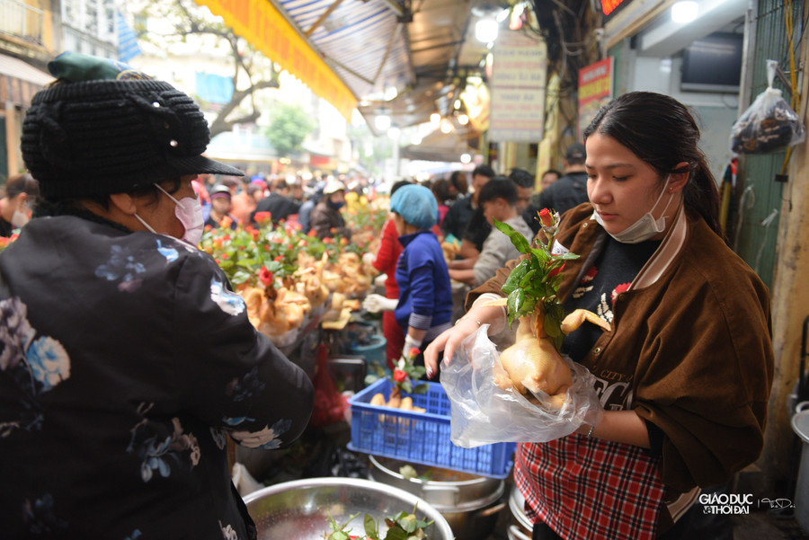 Gà thường nặng từ 1,4 đến 1,8kg và có giá 500.000 – 700.000 đồng/con.