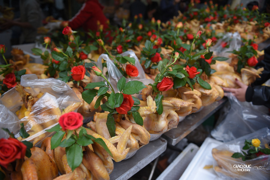 Gà thường nặng từ 1,4 đến 1,8kg và có giá 500.000 – 700.000 đồng/con.