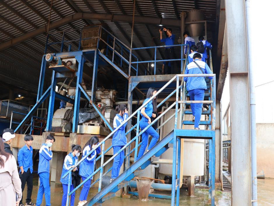 Thăm dây chuyền sản xuất của Công ty thương mại Quảng Trị về chế biến sắn nguyên liệu.