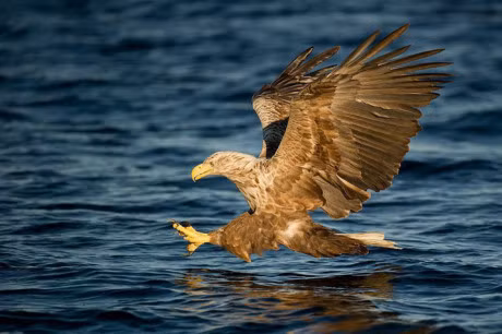 Hoc dai bang cach doi dien voi giong bao trong cuoc doi: Thay doi hoac la chet! - Anh 2