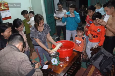 Can canh ca tre vang quy hiem nang gan 2kg o Da Nang - Anh 2