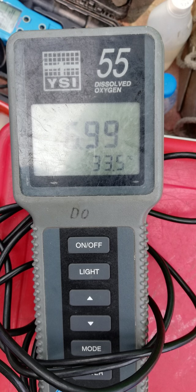 Bên ngoài khu thí điểm DO=6.99 mg/l (Đo vào ban ngày).