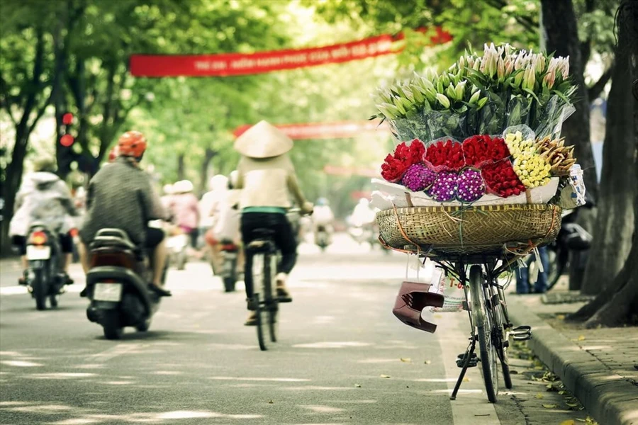 Ảnh minh họa