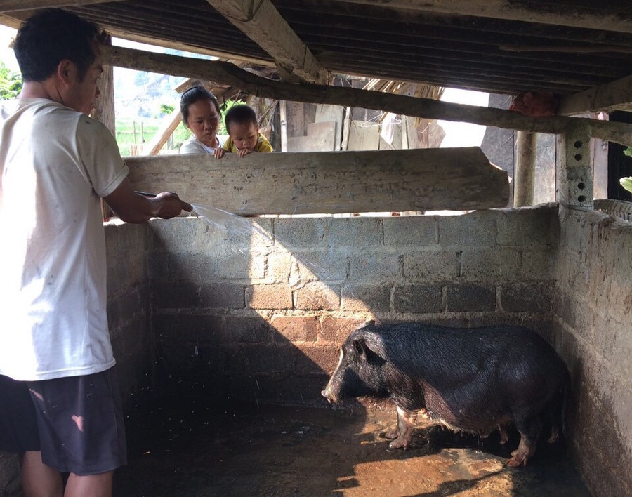 Chăn nuôi gia súc gia cầm đã đem lại hiệu quả kinh tế, góp phần xóa đói giảm nghèo. Chăn nuôi gia súc gia cầm đã đem lại hiệu quả kinh tế, góp phần xóa đói giảm nghèo.